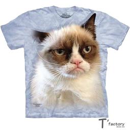 【線上體育】The Mountain 短袖T恤  S號 拉丁外星人 歷史價格詳細信息