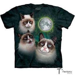 【線上體育】The Mountain 短袖T恤  S號 拉丁外星人 歷史價格詳細信息