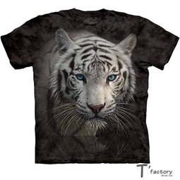 【線上體育】The Mountain 短袖T恤  S號 拉丁外星人 歷史價格詳細信息