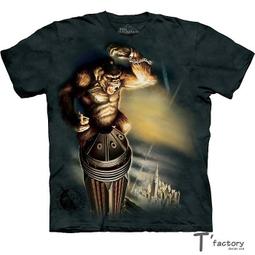 【線上體育】The Mountain 短袖T恤  S號 拉丁外星人 歷史價格詳細信息