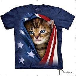 【線上體育】The Mountain 短袖T恤  S號 拉丁外星人 歷史價格詳細信息