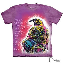 【線上體育】The Mountain 短袖T恤  S號 拉丁外星人 歷史價格詳細信息