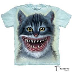 163939&quot;C倉庫&quot;C4558ST 貼片SOP8寬頻雙雙極運算放大器 （15個）  [163939-032] 歷史價格詳細信息