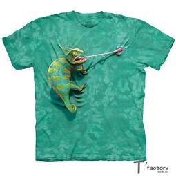 【線上體育】The Mountain 短袖T恤  S號 拉丁外星人 歷史價格詳細信息