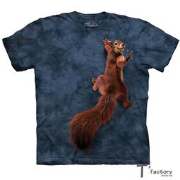 1304007 -1-3/4 X 8 INCH POWER ANGLING CYLINDER-REPLACES MEYER #05815 歷史價格詳細信息