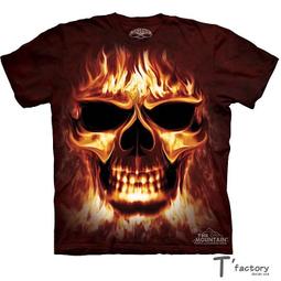 【線上體育】The Mountain 短袖T恤  S號 拉丁外星人 歷史價格詳細信息