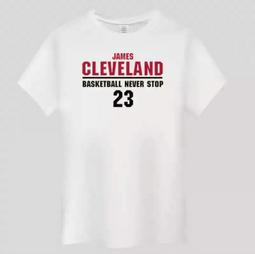 ????詹皇LeBron James詹姆士短袖棉T恤上衣????NBA湖人隊Nike耐克愛迪達運動籃球衣服T-shirt男451 歷史價格詳細信息