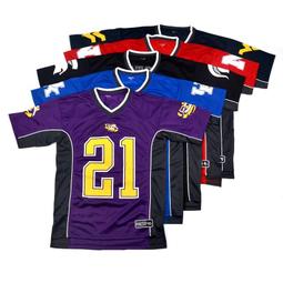 NCAA - 正版美國密西根大學Michigan工裝風機能斜背包 歷史價格詳細信息