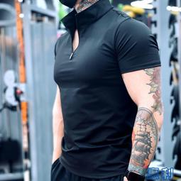 立領純色POLO衫潮流修身半截袖汗衫半袖男短袖POLO衫 男士短袖T恤 歷史價格詳細信息