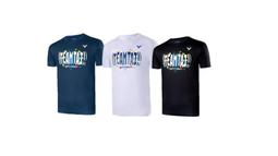 Ψ山水體育用品社Ψ【勝利拍袋】 羽球 矩形包 運動背包  拍包 VICTOR 背包 矩形包 BR9613 歷史價格詳細信息