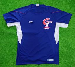 新莊新太陽 MIZUNO 美津濃 12TC2L2284 吸濕 排汗 棒壘 七分袖 T恤 練習衣 深丈青X麻灰 特860 歷史價格詳細信息