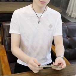 短袖t恤男士夏季冰絲百搭半袖男裝休閑大碼體恤男速干寬松上衣服 短袖上衣男 男生T恤 短t 素t 運動健身 排汗衫 歷史價格詳細信息