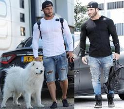 肌肉潮男健身棉健美鯊魚跑步訓練背心男士SHARK訓練透氣無袖無袖 歷史價格詳細信息