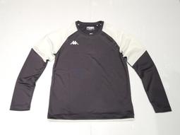 351.米國早期生產高階音響專用電源線1.5－2.0米一條特價500元 歷史價格詳細信息