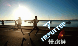 MR.PUTTER美普特4支裝實用型羽球袋----"power star"後背袋 歷史價格詳細信息