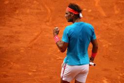 Nadav納達為狗狗P繩訓犬防爆沖外出遛狗牽引繩防掙脫狗鏈中大型犬 歷史價格詳細信息