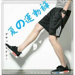 超彈性五分短褲 有加大尺碼 IFOA【8926】夏季百搭單品 素面 超彈性5分休閒短褲 3色 歷史價格詳細信息