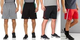 鈦得} S-L 號 ASICS 9IN TRAIN 男九吋排汗快乾透氣訓練短褲 健身房重訓戶外運動 亞瑟士 歷史價格詳細信息