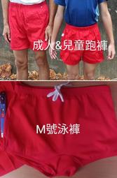 買8送1短版編織手機掛繩/相機掛繩/鑰匙掛繩/隨身碟掛繩/手機吊飾腕繩/防掉繩/附調節扣-19cm線繩加粗親膚不會勒手 歷史價格詳細信息