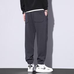 褲子男春秋季2023新款潮牌束腳運動厚棉褲男生工裝九分休閒長褲男款 歷史價格詳細信息