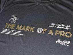 貳拾肆棒球-受注生產!日本帶回Mizuno pro 日職契約選手用運動外套/日製/O 歷史價格詳細信息