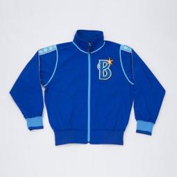 貳拾肆棒球---限定品日本帶回日職棒阪神虎彩虹球衣/Mizuno製作 O size 歷史價格詳細信息