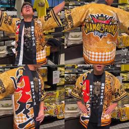 貳拾肆棒球---限定品日本帶回日職棒阪神虎彩虹球衣/Mizuno製作 O size 歷史價格詳細信息