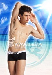 BF型高檔戶外室外防水音響定壓壁掛音柱 公共廣播喇叭音60W 歷史價格詳細信息