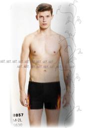 換季出清價**99元**-男刷毛保暖衣(V領)-時尚優雅百搭款-保暖透氣,吸濕排汗-今年新款 歷史價格詳細信息