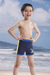 【廠商直出】愛寶百貨.泳之美泳褲全新2790「台灣製大男特多七分褲（黑） 」（ 尺寸M、L、XL、2L、3L、4L可選） 歷史價格詳細信息