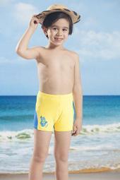 【廠商直出】愛寶百貨.泳之美泳褲全新2790「台灣製大男特多七分褲（黑） 」（ 尺寸M、L、XL、2L、3L、4L可選） 歷史價格詳細信息