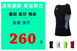 [ Y.U ] Champion 日線毛帽 4色 附吊牌 少量現貨 售完不補 歷史價格詳細信息