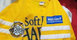 Softbank 4/5/6/7/8日無限流量eSIM卡，挑戰露天最優惠！無限上網，暢遊日本 歷史價格詳細信息