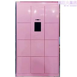 智能更衣櫃 更衣室電子儲物櫃 小區收發衣櫃投遞櫃 歷史價格詳細信息