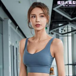 健身車新疆動感單車家用靜音磁控健身車運動腳踏自行車健身器材 歷史價格詳細信息