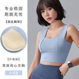 ６９９免運丷固定一體式掛脖運動健身瑜伽美背運動內衣休閒服飾運動服流行服裝丷LA13772 歷史價格詳細信息