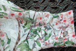 Van bosplan tot Floriade: Nederlandse park -9789064501258 絕版英文設計書 [建築人設計人的店-上博圖書] 歷史價格詳細信息