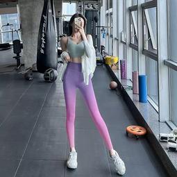 漸變彩色拉鏈馬甲背心志願者義工工作服休閒坎肩義工廣告宣傳馬甲 歷史價格詳細信息