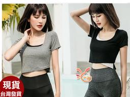 B4644 寵物秋冬裝寵物衣服狗狗衣服 貓咪衣服寵物服飾 寵物套裝寵物防寒保暖寵物變身裝小型犬 大型犬狗用品博美 雪?瑞 歷史價格詳細信息
