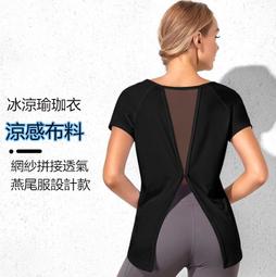 ALISA 健康小舖-S號 6吋 冰溫兩用袋 居家必備、運動健身  台灣製 歷史價格詳細信息