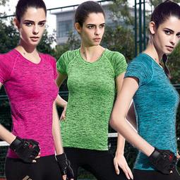 L＆M跑步手機臂包男女運動健身胳膊手臂收納袋防水輕薄手腕包臂套 歷史價格詳細信息