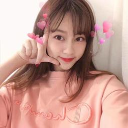 [鯨挑細選]Champion冠軍 2019日版新款短T 七色齊 M-2XL 歷史價格詳細信息