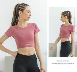 運動短袖 SLLAMBELL美式訓練服 無袖投籃服 休閒上衣 運動背心 跑步健身網眼上衣 寬鬆短袖上衣 透氣背心 坎肩 歷史價格詳細信息