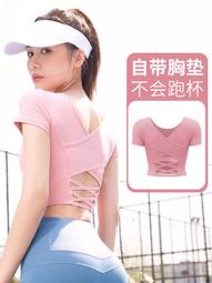 ~EN05113~春夏瑜伽服女聚攏防震運動內衣文胸無縫高腰彈力提臀健身服套裝運動服裝運動服飾休閒服裝 歷史價格詳細信息