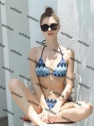 日係新款超低價小仙女泳衣遊泳衣女分體性感比基尼裙式長袖溫泉顯瘦小胸聚攏大碼 歷史價格詳細信息