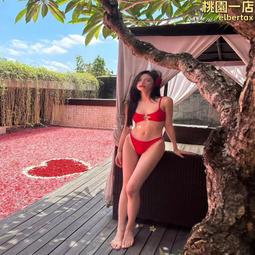 圓圓胸紅色❤裝本命年聚攏小胸秋冬季文胸罩2023新款爆款無痕  露天市集  全台最大的網路購物市集 歷史價格詳細信息