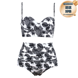 泳衣女 比基尼 大尺碼4件套 保守遮肚顯瘦 新款日系分體長袖泳裝 工廠直銷 品質保證 彤彤戶外（滿599免運） 歷史價格詳細信息