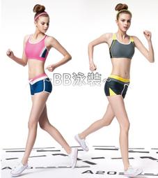 ~BB泳裝~APPLE 蘋果牌2015 彩色洞洞外罩杉 15501 15502 歷史價格詳細信息