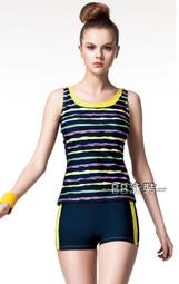 ~BB泳裝~APPLE 蘋果牌2015 彩色洞洞外罩杉 15501 15502 歷史價格詳細信息