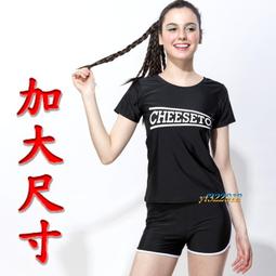 YF加大尺碼短袖.有袖二件式泳裝.泳衣 泡溫泉【免運送&rarr;泳帽、胸墊】 61002  .4EL 歷史價格詳細信息